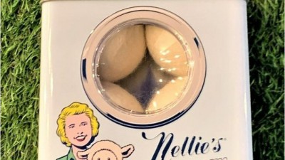 🧺 뽀송이 득템! 건조기 양모볼 캐릭터 후기 & 꿀팁 대방출! (할인정보有)