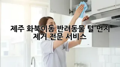 제주 화북이동 반려동물 털 먼지 제거 전문 서비스