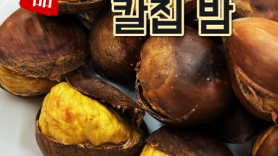 ✨ 밤1되 솔직 후기! 안 사면 손해? 리얼 구매팁 대방출! 🌰